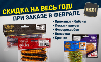 Скидка на весь год при заказе в феврале!