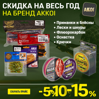 Закрепим скидку на AKKOI до 2026 года!